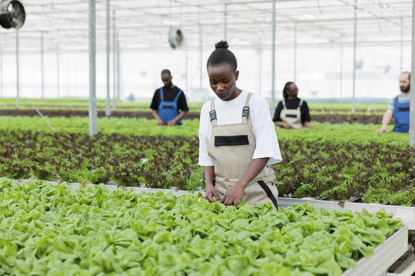Quali sono i metodi non invasivi per monitorare la salute di un pesce d'acquario?